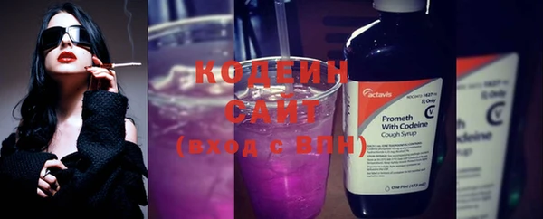 молекула духа Кодинск