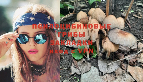 бошки Козловка